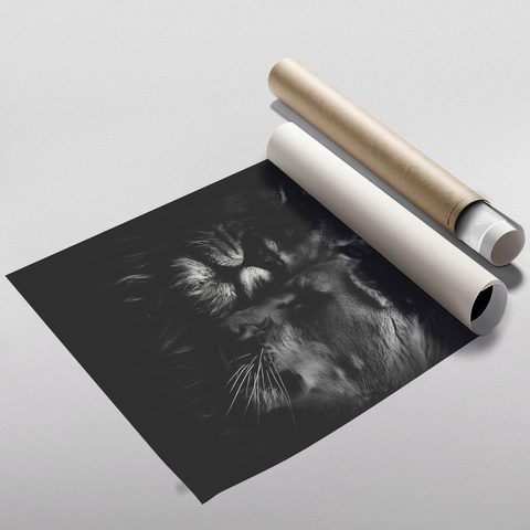 Lion Sweethearts