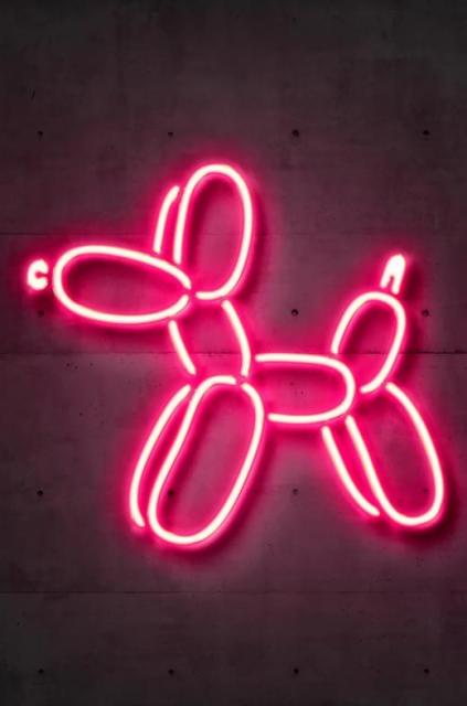 Neon Balloon Dog